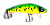 Воблер SIWEIDA "BLEF MINNOW" 70F (6,2г; 0,0-0,5м) col. 27